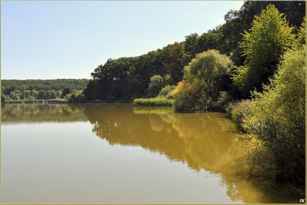 Deseda tó és arborétum by Osváth Károly