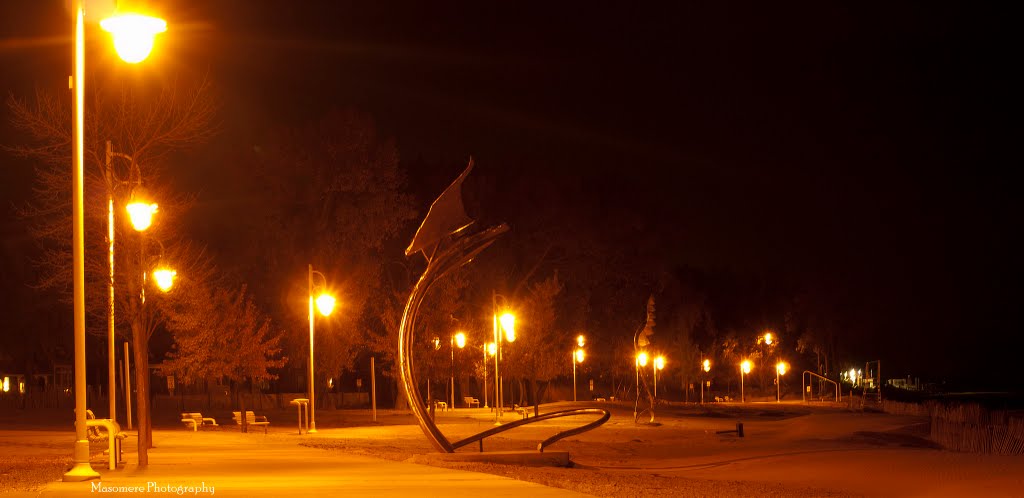 Silver Beach - St. Joseph, Michigan by masomerephotography