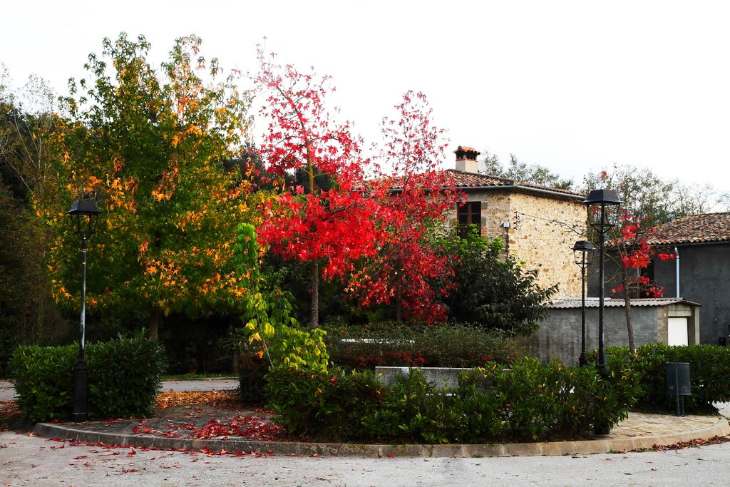 Sant Esteve de Llémena by Josep Lluís Grau