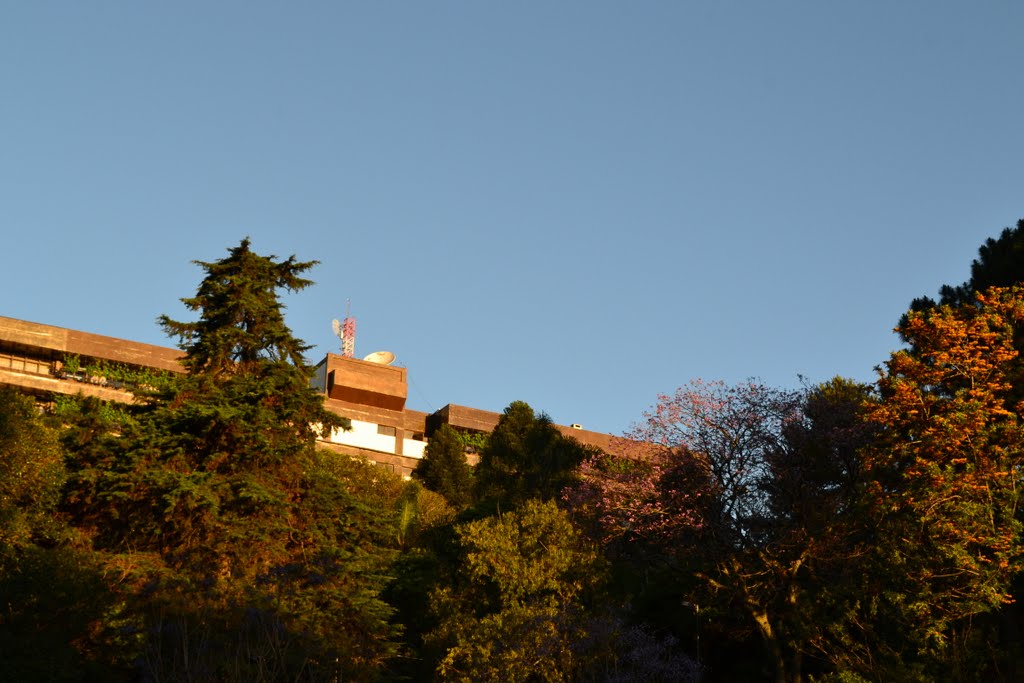 Tons Alaranjados / Caxias do Sul, RS ©Walter Moschen by Walter P. Moschen