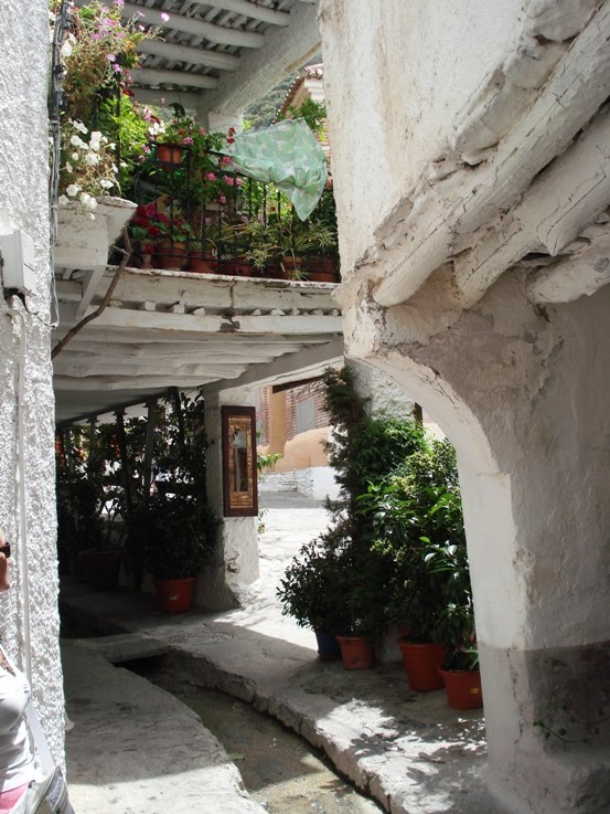 La Alpujarra. Calle de Pampaneira by jesusspider