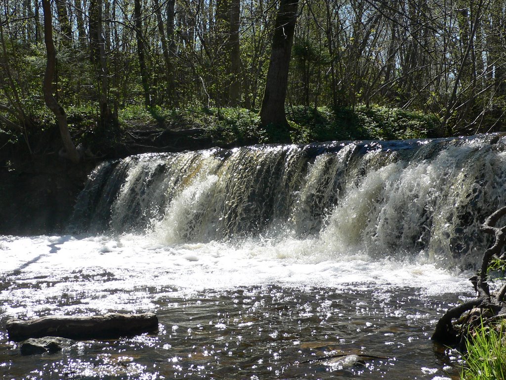 River Ivande in Renda (2005.VI) by DmitryTelnov