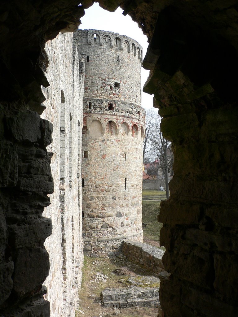 Ruins of Cesis castle, the former capital of Livonia (2005.IV) by DmitryTelnov