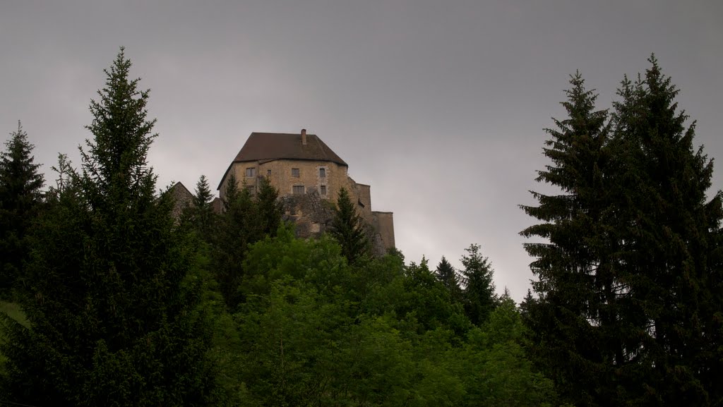 Chateau de joux - prison où meurt toussaint louverture by fnguyen16