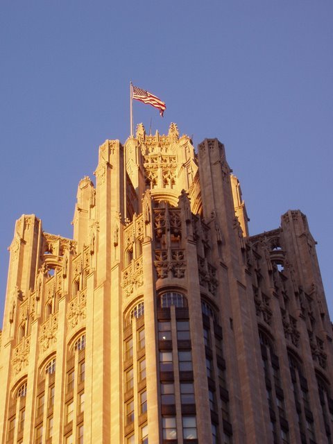 141 Chicago Tribune Tower by Daniel Meyer