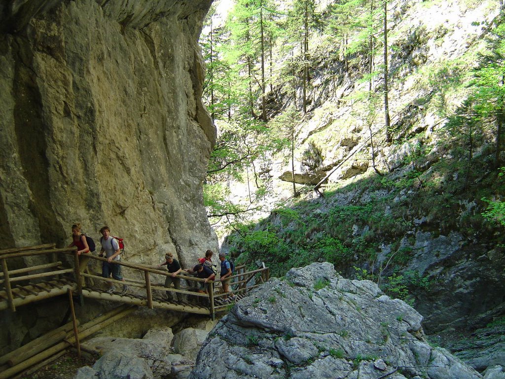 Bärenschützklamm by Herbert Hotwagner