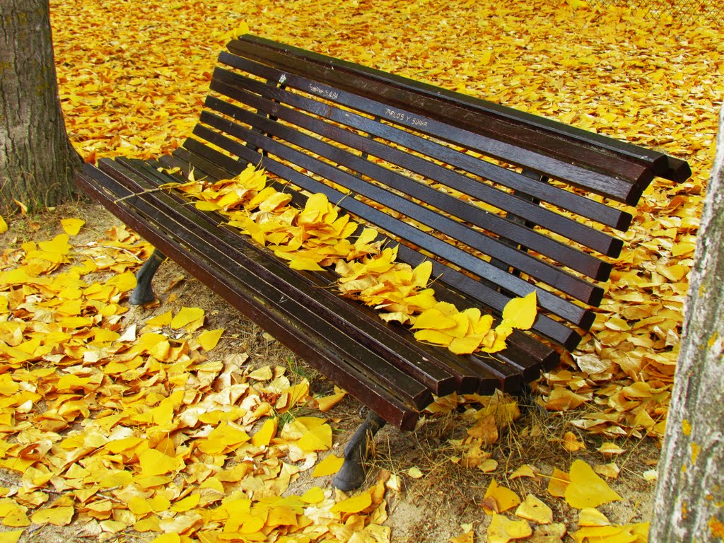 Otoño y banco junto al Río Duratón. Fuentidueña. Segovia. by Valentín Enrique