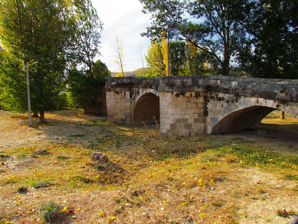 Puente sobre el Río Durtón a su paso por Fuentidueña. Segovia. by Valentín Enrique