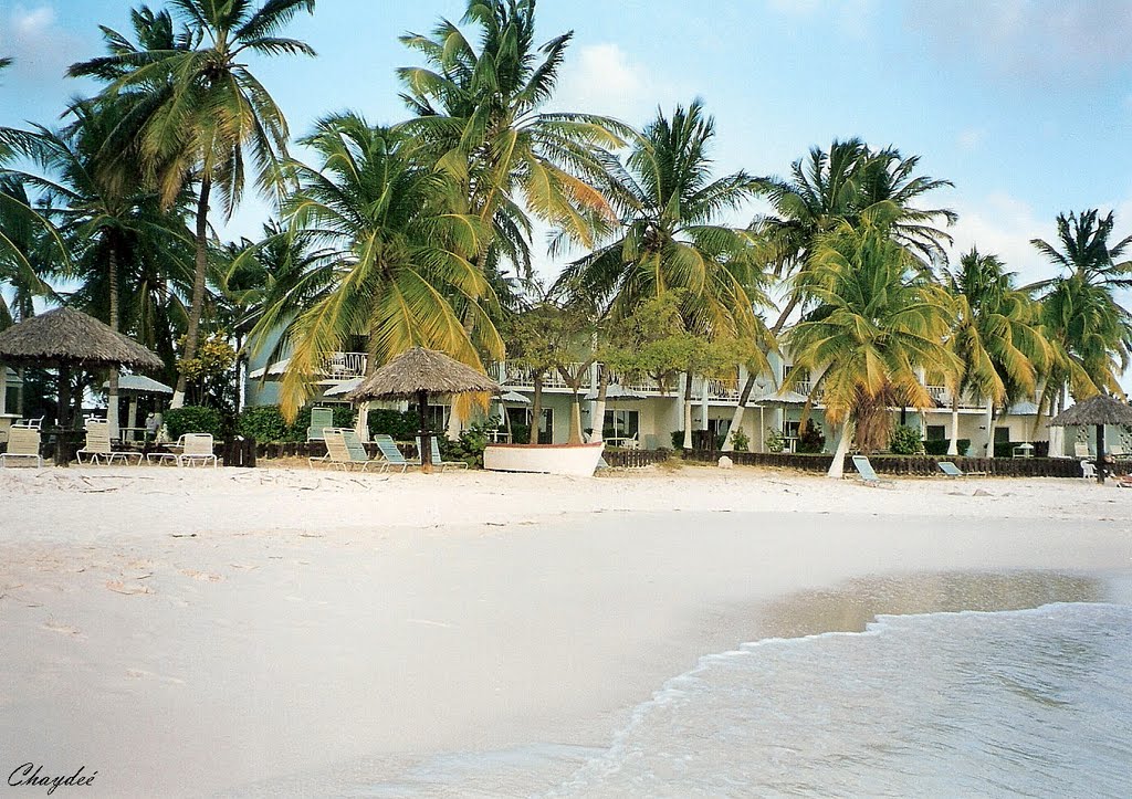 Playa Hotel Tamarijn .Aruba. by ©Chaydeé