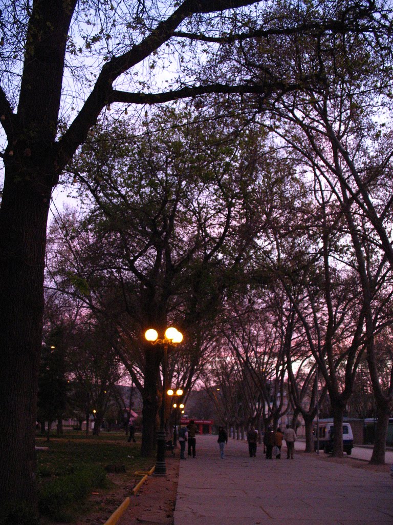 Plaza de Limache by da.tarifeno