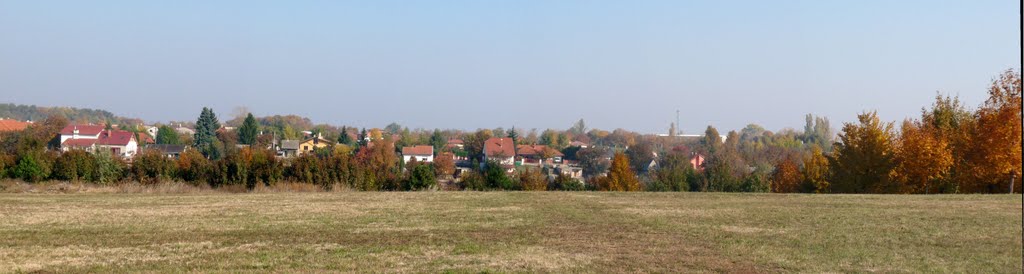 Dunaújváros - Búzavirág utcai panoráma by Dr. Pinczés Sándor