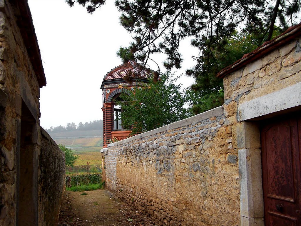 Chambolle-Musigny by Rémy Coeurdevey