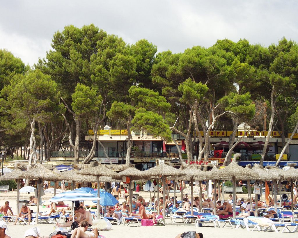 Strand Paquera by Richard Voegtlin