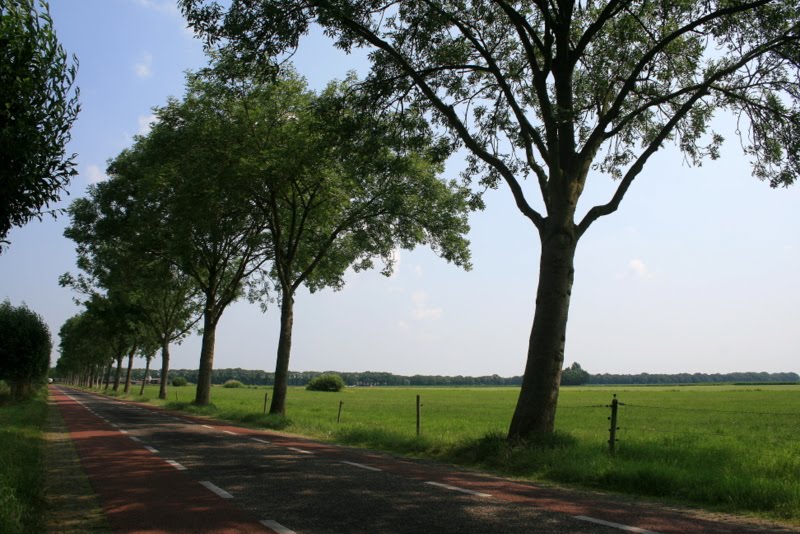 Loosbroek - Loosbroeksestraat by Scholte