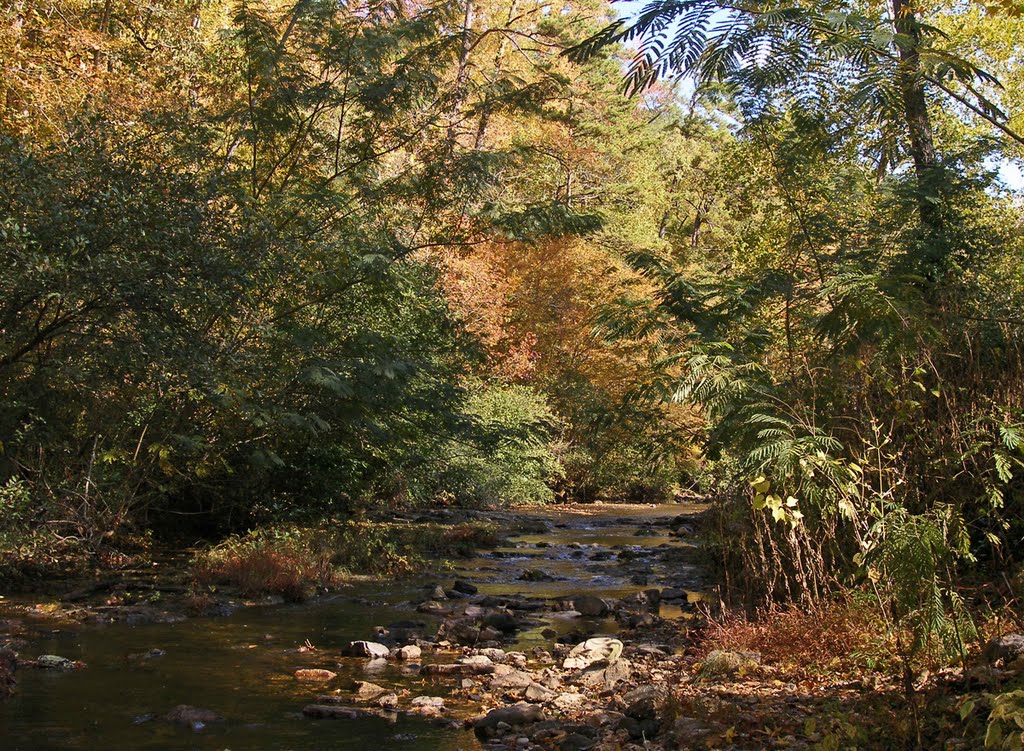 Gulpha Creek by Geezer Vz