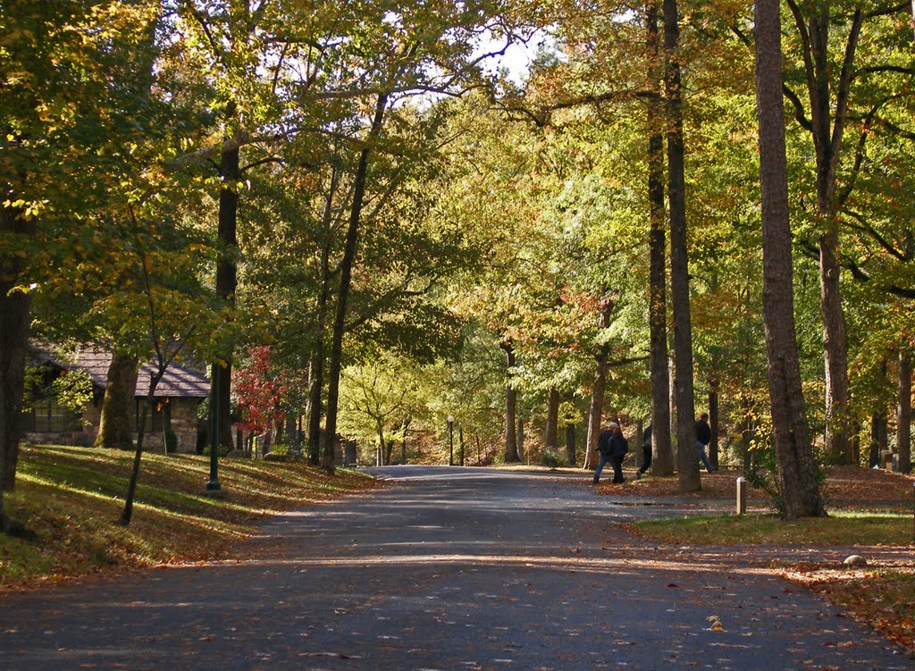 Gulpha Campground Road by Geezer Vz