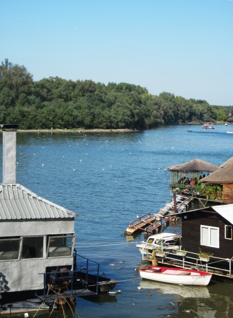 Život na reci /Life on a river by brancesca