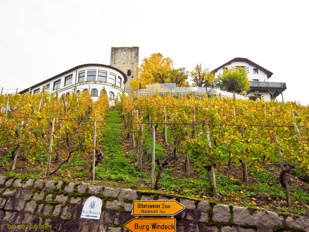 Blick zur Burg Windeck hoch by bauerpower