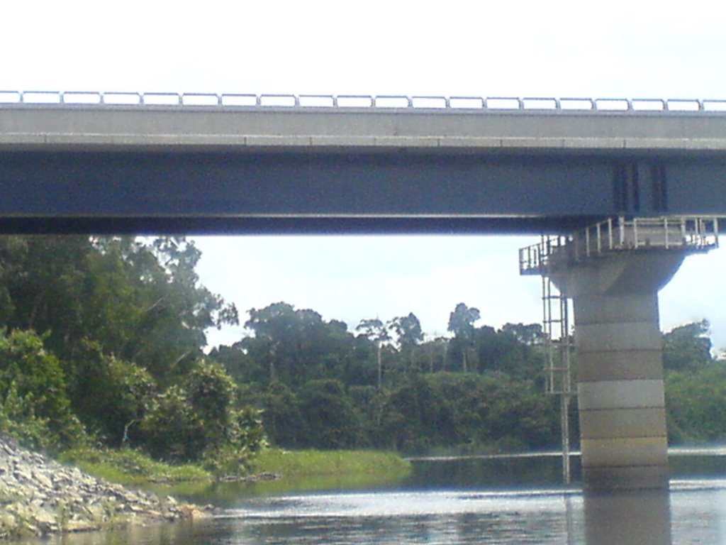 Close up of the bridge from Ntem shore by paternee