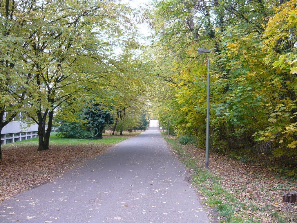 Knielinger-Allee-Weg by mrtn-ka