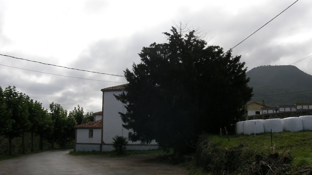 Tejo en la iglesia de San Bartolomé. Camuño. SALAS. by Fernando Fernandez Justiniano