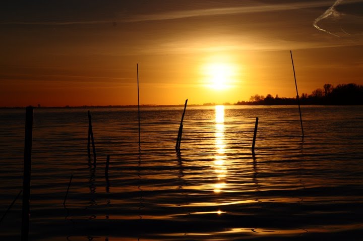 Jezioro w Aalsmeer, Północna Holandia / Lake in Aalsmeer, North Holland by Roman Stec