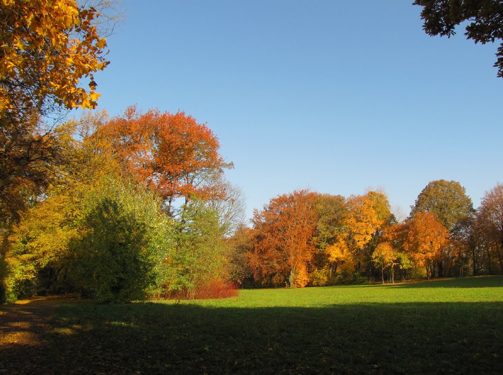 Chemnitz - Stadtpark im Herbst (2) by Rudolf Henkel