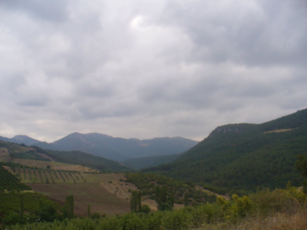 16370 Avdancık/Osmangazi/Bursa, Turkey by i.bulut