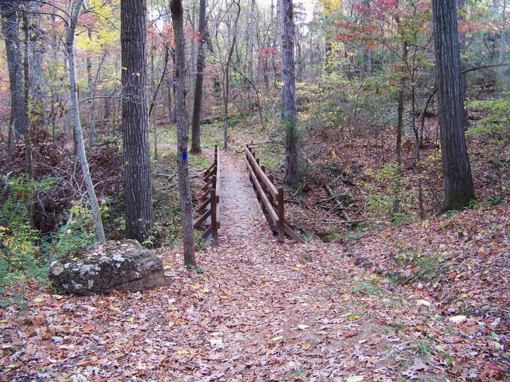 Park Springs Park, Burns Arboretum Nature Trail by Ken Ehleiter, Jr.