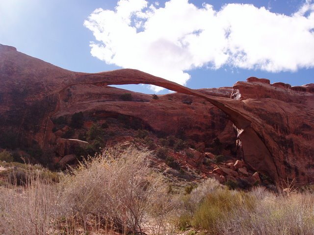 231 Arches National Park, Landscape Arch by Daniel Meyer