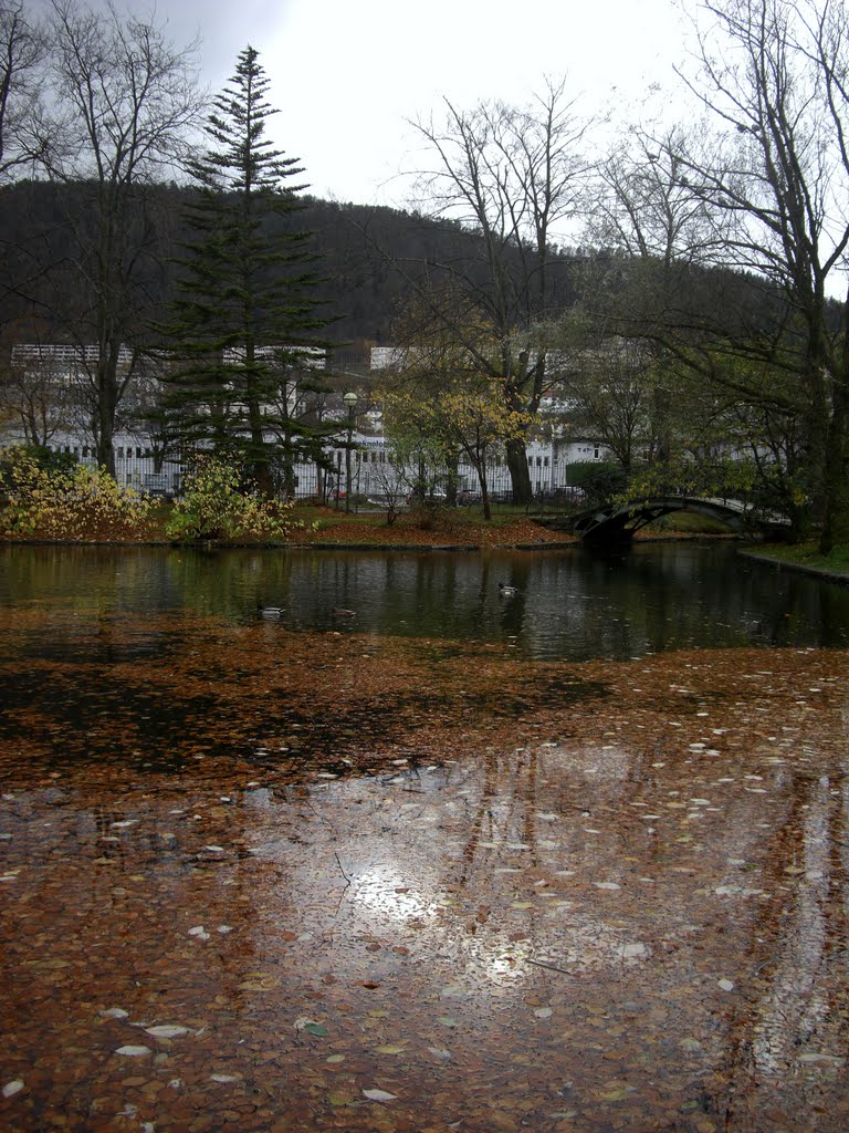 The duckpond in november by Mona Lygre