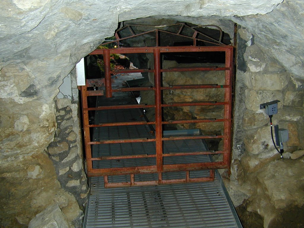 Lower entrance gate, looking out, Oregon Cave by Jim Nieland