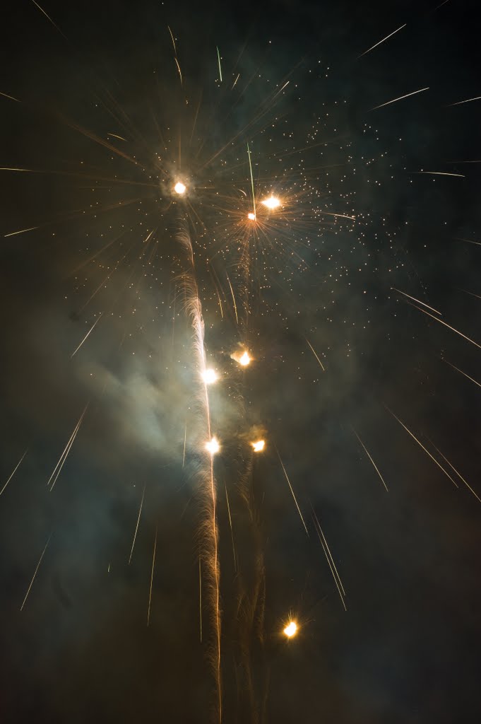 Burhill school fireworks 2011(please enlarge and zoom) by warwick.tomlinson