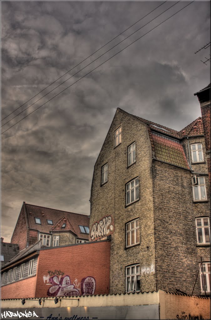 "Graffiti" Hjortensgade, Aarhus, Denmark. 2011 by -HARMONSA-