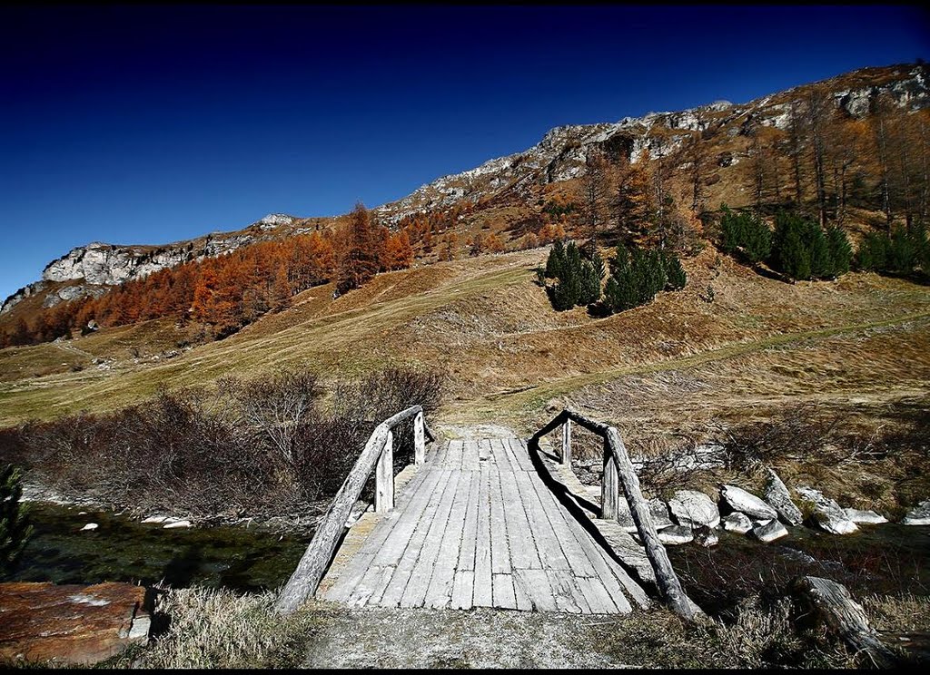 Bridge _Val di Fex by ©Andrew Bonfanti©