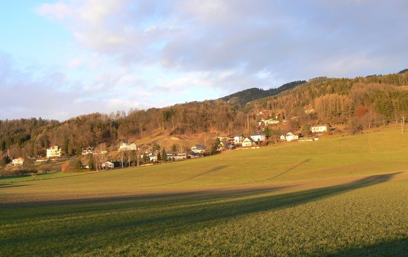 Die große Grafehof - Wiese, dahinter die Villen am Gries by Josef Grohs