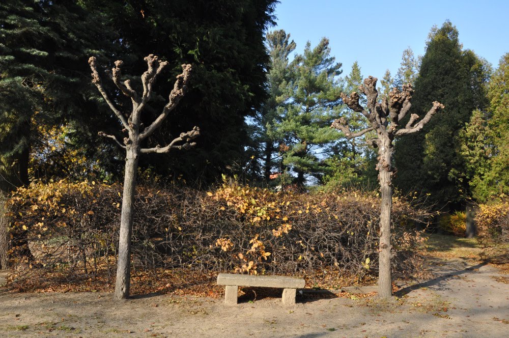 Friedhof Pulsnitz by Lady A