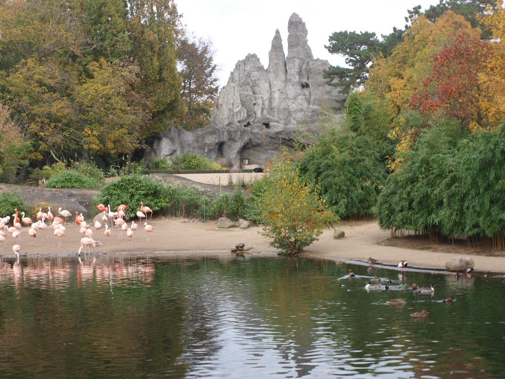 Blick über den großen Vogelteich by Fotoberchtel