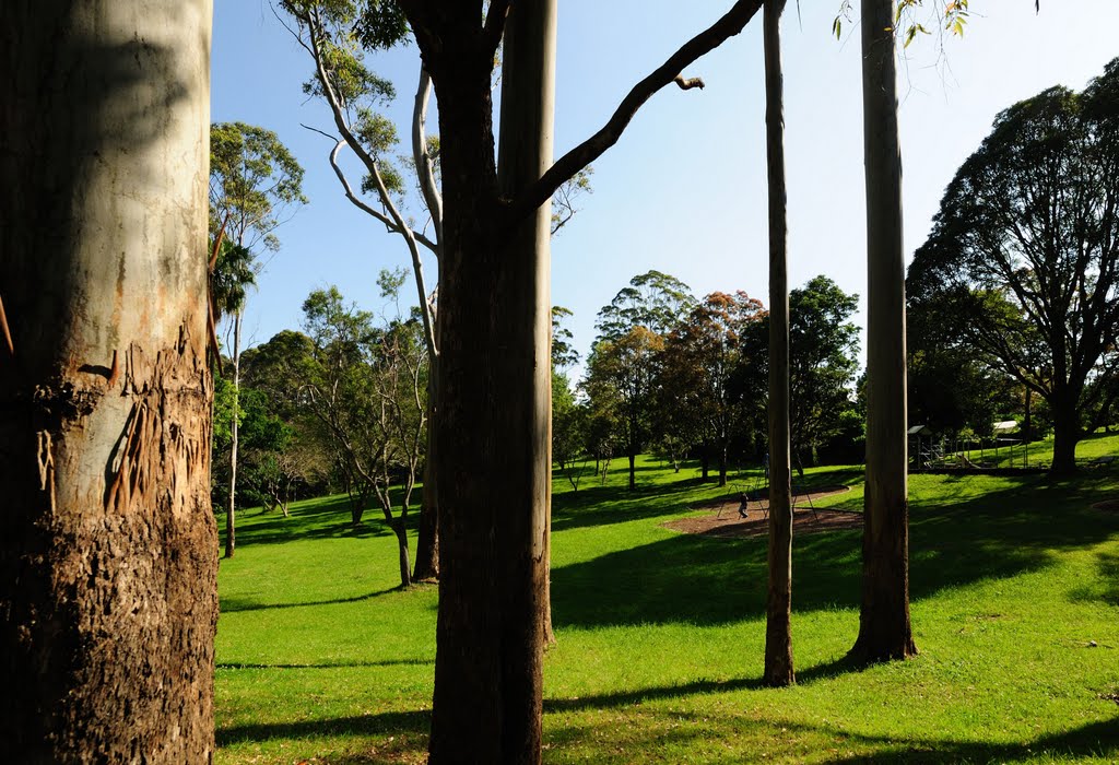 Guanaba Park by densil