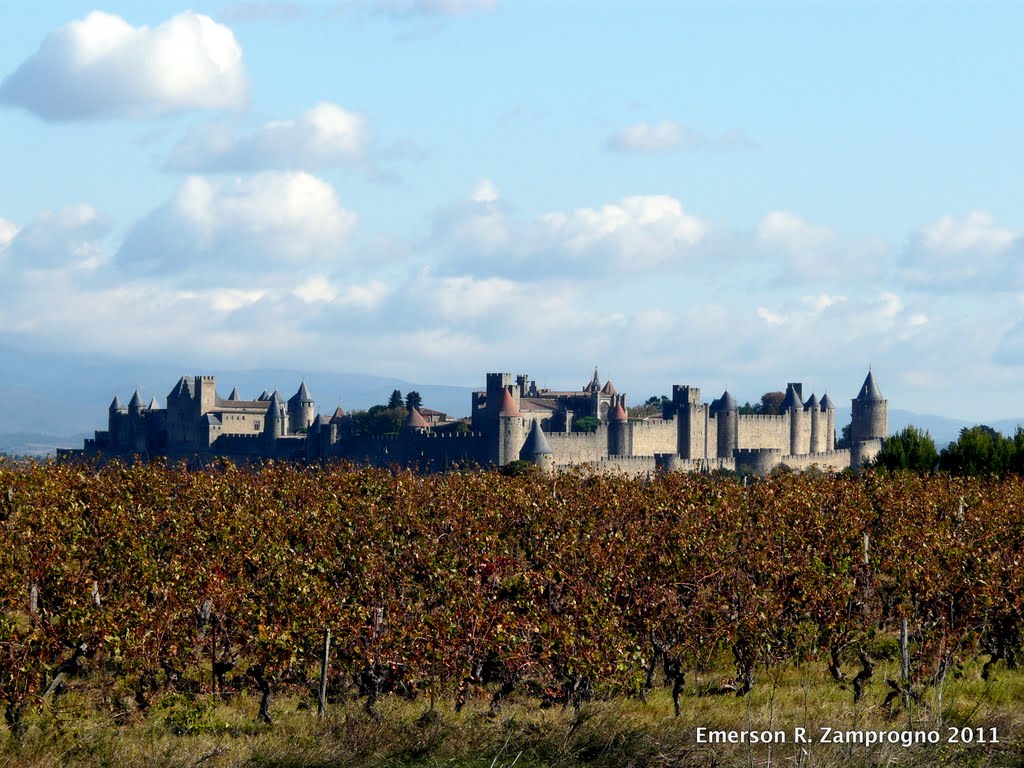 Vinha e Carcassonne vistas da autoestrada by Emerson R. Zamprogno