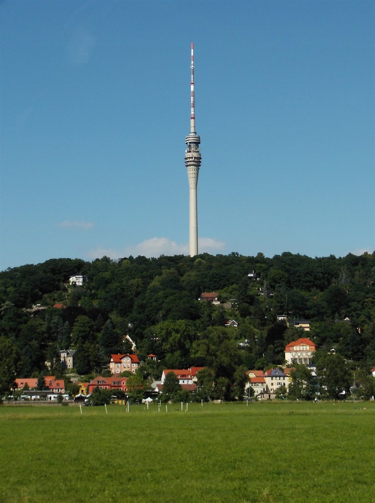 Elbwiesen mit Fernsehturm by aoc-fg