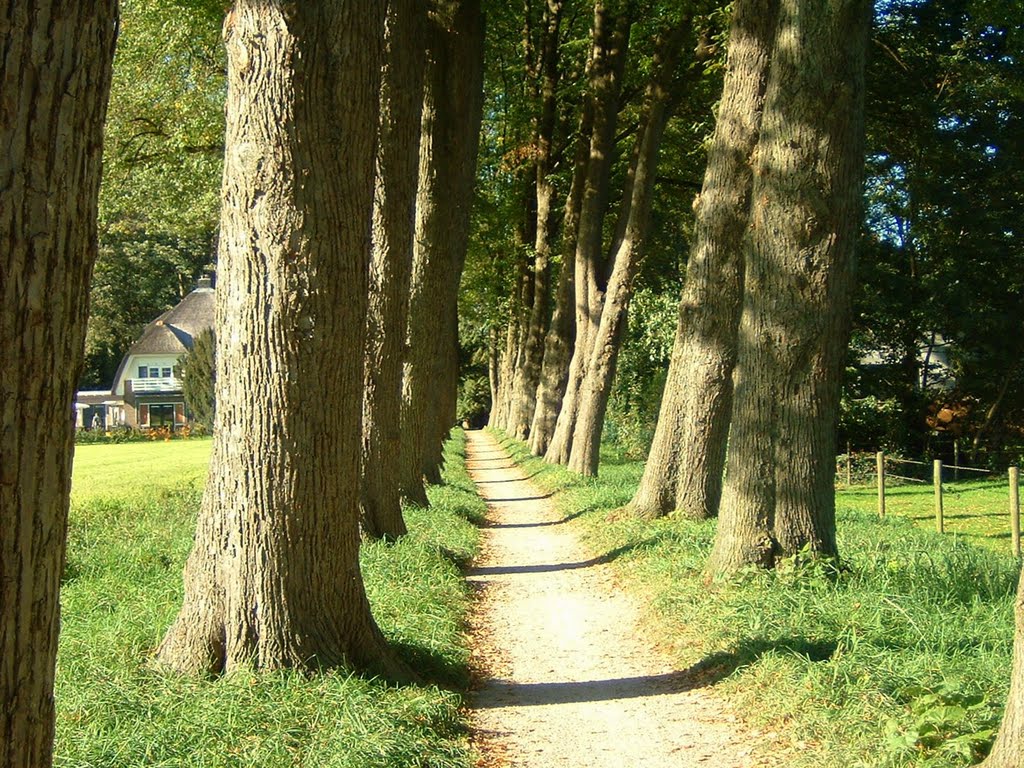 Keppellaantje, Lochem, Holland.......324 by Jim van Ommen