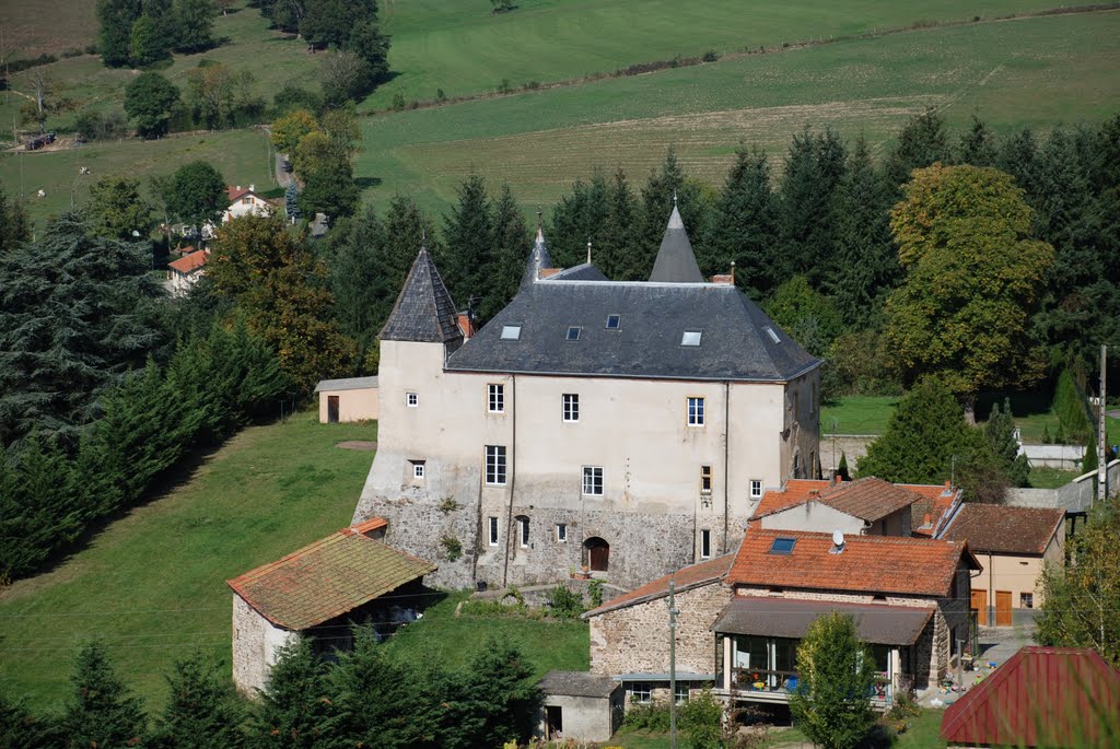 Chateau de sainte Colombe sur Gand ,Loire 42 by merlin42