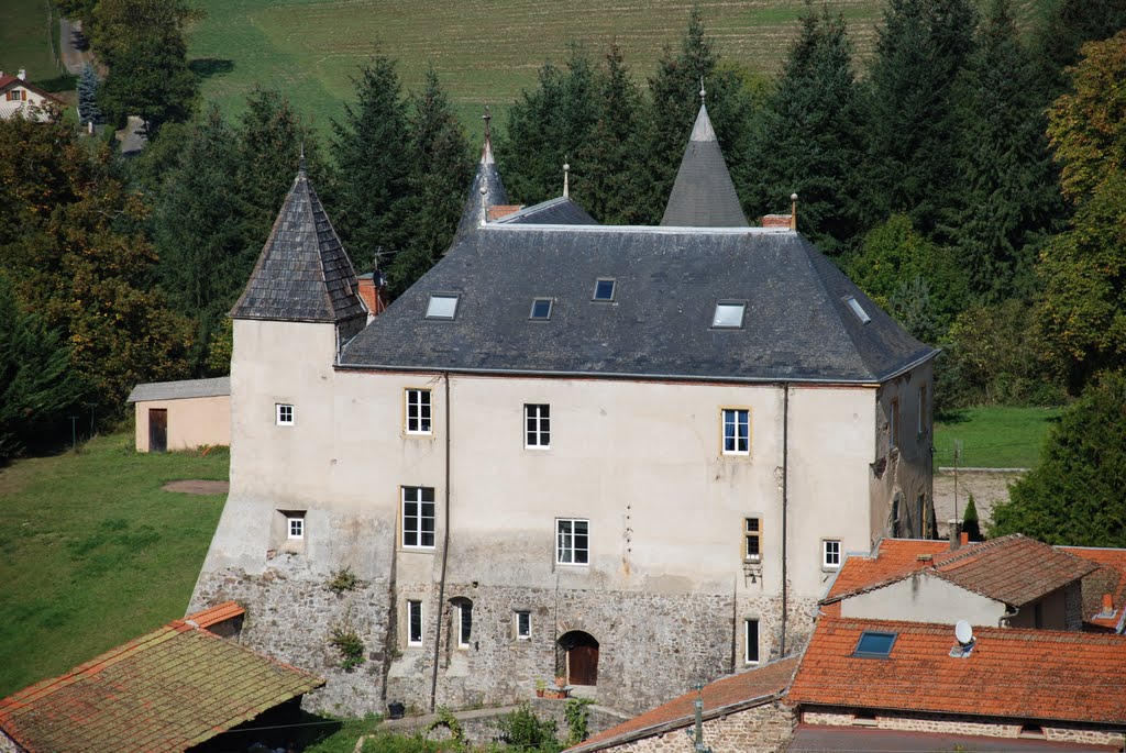 Chateau de sainte Colombe sur Gand ,Loire 42 by merlin42