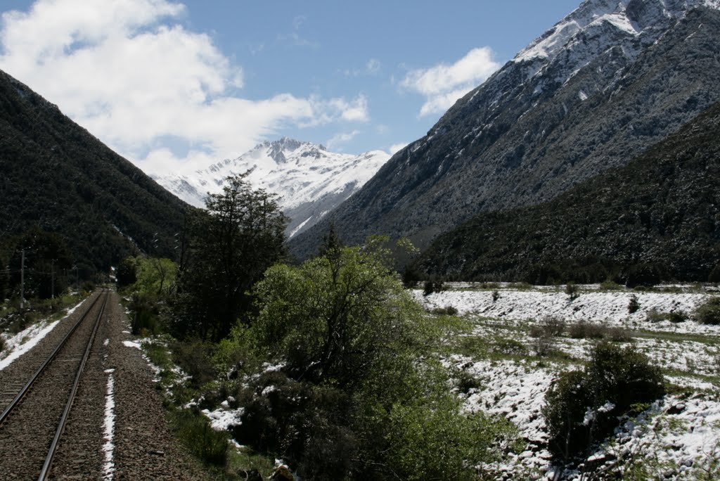 Looking up the valleys from the Bealey river by D B W