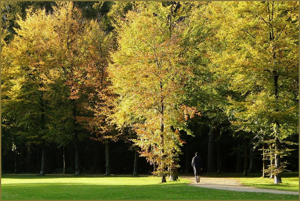 Autumnwalk.. by Chris10 ©