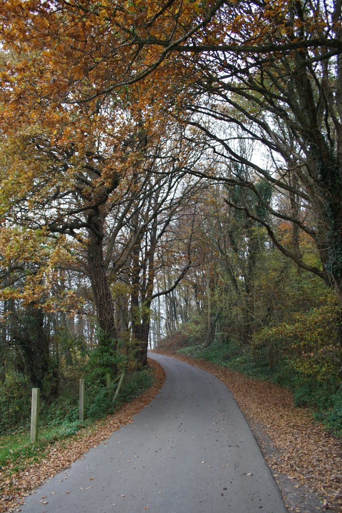 Bosques junto al Westensee en Otoño de 2011 by Raúlgh