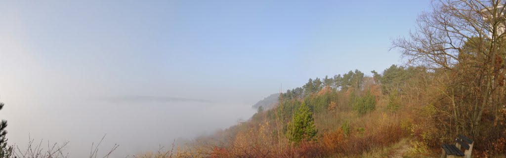 Jena im Nebel by m.n.z.