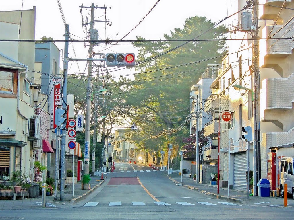 Setagaya, 世田谷観音 by mandegan