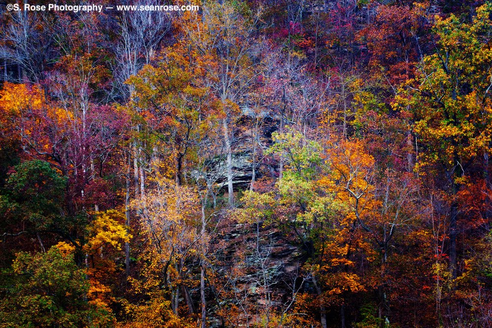 Whitesville, West Virginia In Fall by seanrose.com